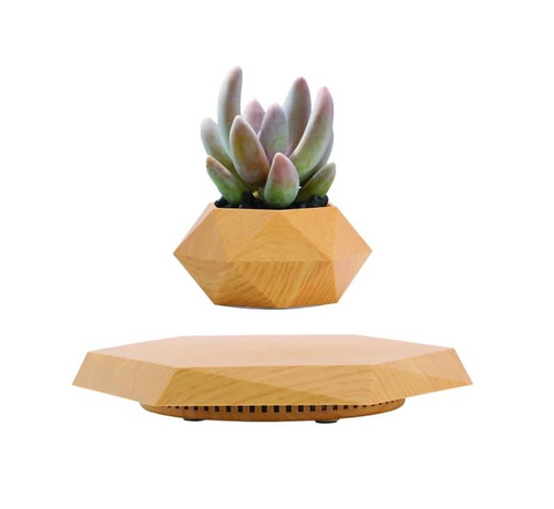 LevitaStone - Levitating Plant Pot